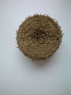 草木染のアトリエ YARN