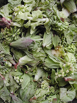 草木染のアトリエ YARN