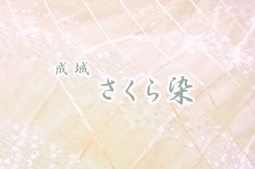 草木染のアトリエ YARN